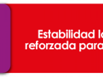 Estabilidad-Laboral