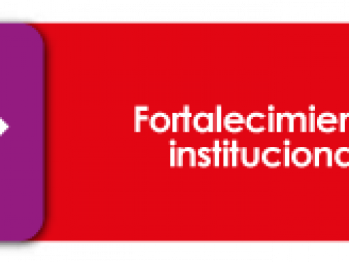 Fortalecimiento-Institucional