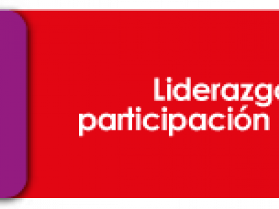Liderazgo-y-participación-politica-2
