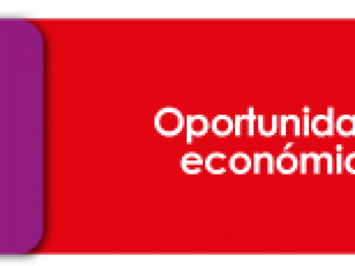 Oportunidades-Economicas