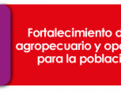 Sector-Agropecuario