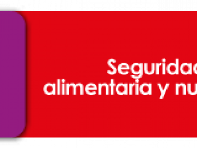 Seguridad-Alimentaria